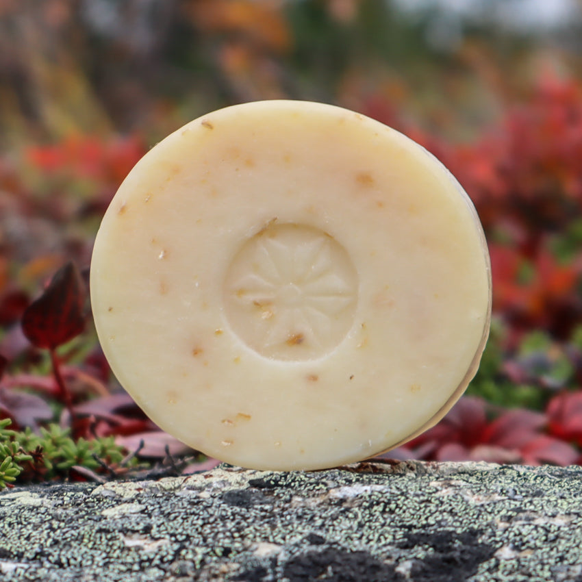 Alaska Winter Soap
